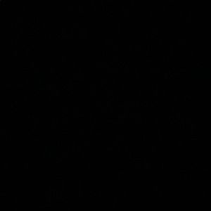 Meet your Posher, Ava